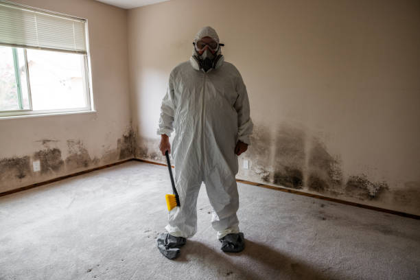 Best Mold Testing  in Overland, MO